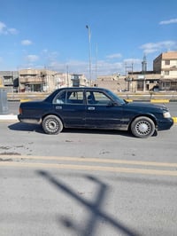 ارنب • ١٩٩٤ • كربلاء الحولي