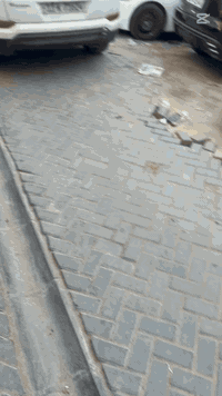 بيت ملك صرف طابو
المساحه ١٥١
الموقع الدهاليك مقابل اسواق حي الربيع نافذ الئ شارع مستوصف الدهاليك ومدرسة الشماسيه
 بيت قديم تفليش
سعر المتر مليون
*********** علي هيثم السعدي 
***********احمد نادر الحبوري
