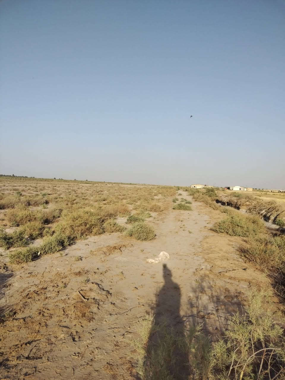 أرض زراعية ٣٠ دونم للبيع تقع على طريق الحي مقابل المعهد التقني الكوت كهرباء وماء سيح للسقي ومي اساله للشرب قريب منهه جدأ العقد الجديد ٢٤ الأتصال على هذا الرقم ***********
