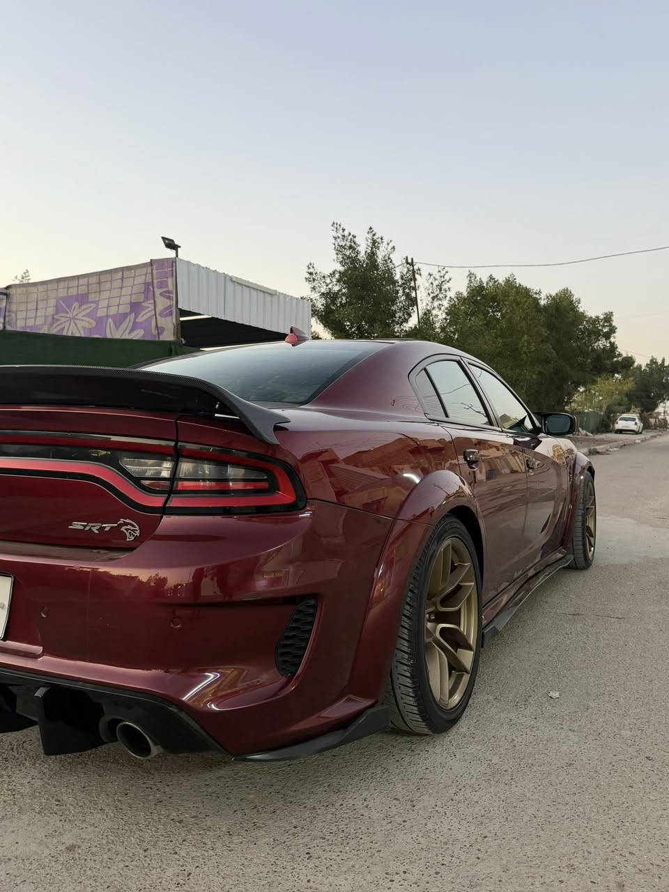 نوع السيارة : جارجر سكات باك ( وايد بدي اصل ) 🔥


**إذا كنت صاحب هذا الإعلان وتريد حذفه لأي سبب، رجاءا أرسل رسالة إلى الدعم الفني**