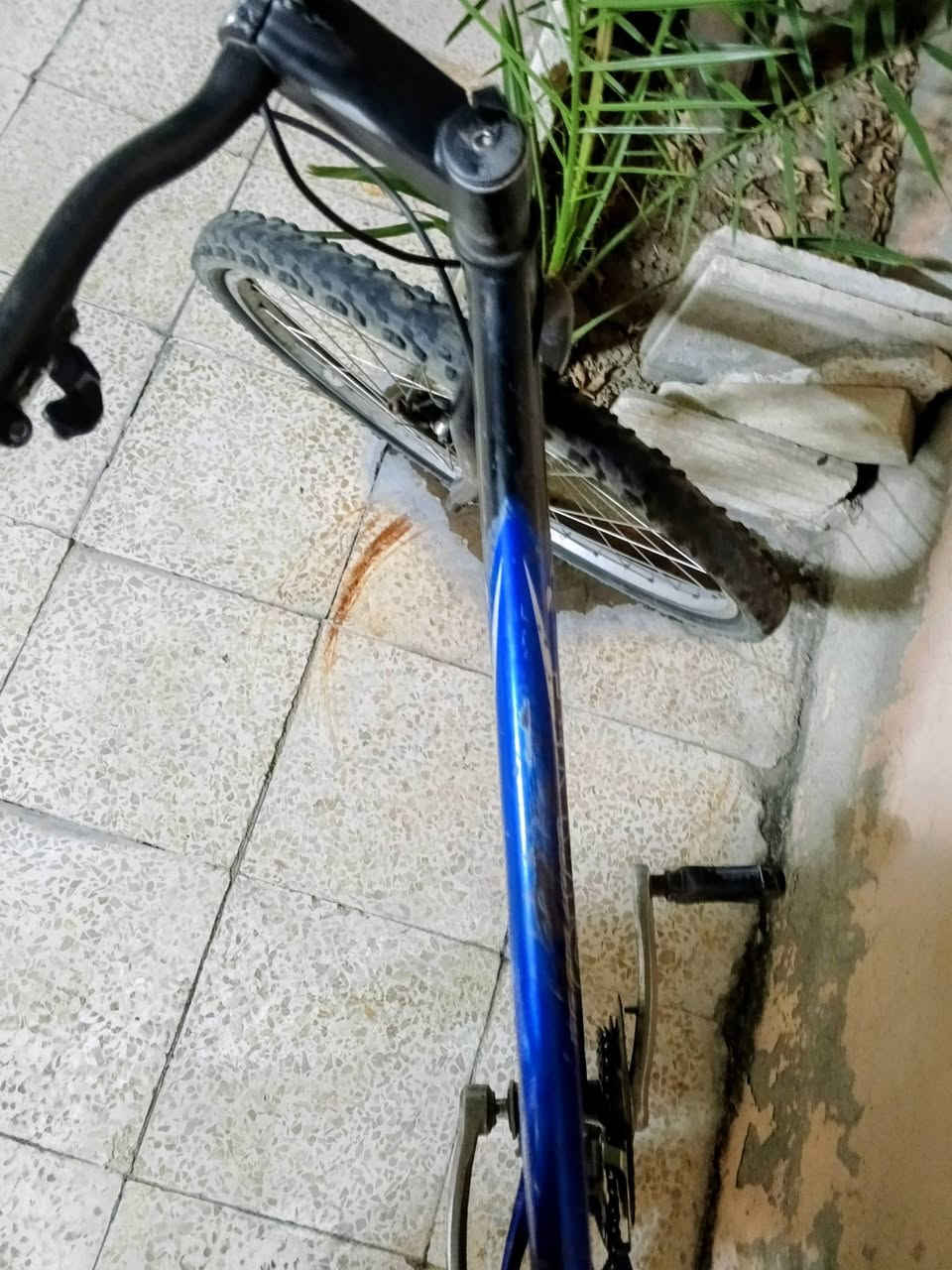 سلام عليكم 
بيسكل البيع 
ماكينه عطل 
بس
ادافع سعر اعجبني أبيع الك


**إذا كنت صاحب هذا الإعلان وتريد حذفه لأي سبب، رجاءا أرسل رسالة إلى الدعم الفني**