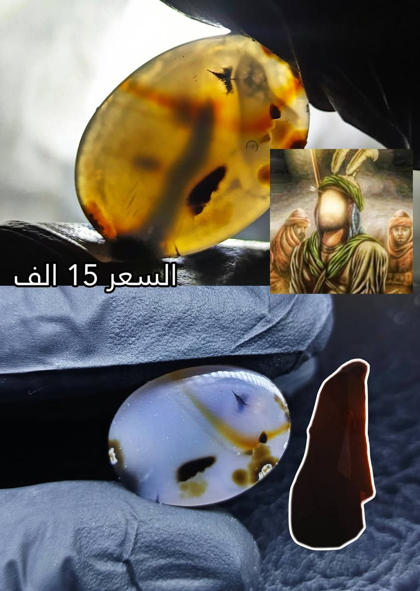 اللهم صل على محمد و ال محمد للحجز والتواصل واتساب (***********)
