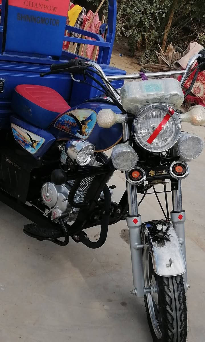 ستوته للبيع 23جدام عينك فووول  اصولي  طالعه بشهر  12 والشراي يتواصل خاص🤝☎️***********
