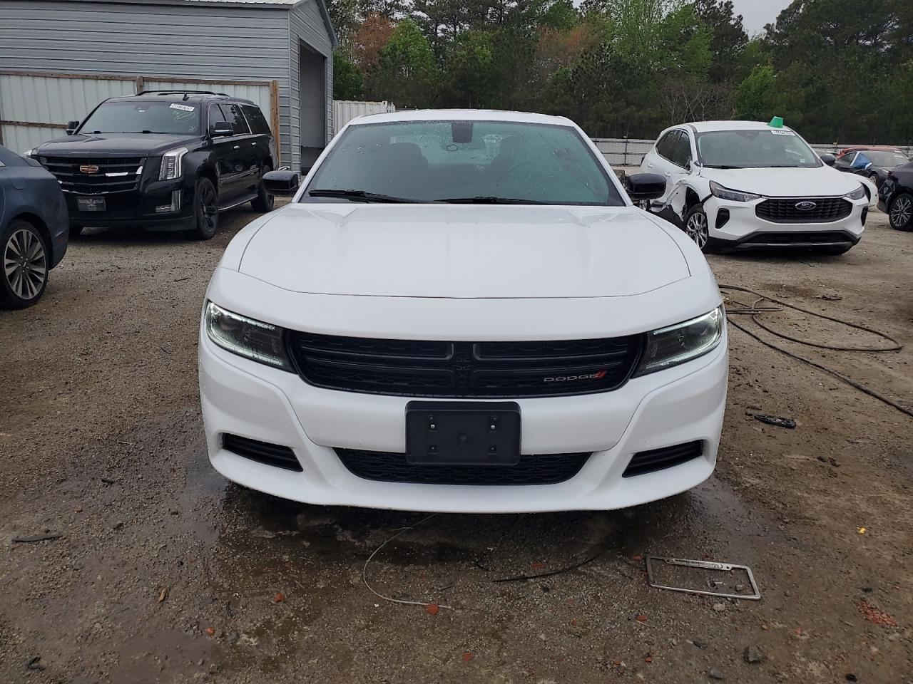 الهم صلي على محمد وال محمد 

جارجر 2023 اصل SXT دخول السنه 2025

بدون رقم بدون تصليح ابيع على ضربته جايه من امريكا 

مدفوع كمرك مالته وسياره باسمي ابصملك وين ما اتريد 

مكان السياره البصرة 

السعر 255 ورقه وبيه مجال للشراي 

ما اراوس فقط بيع فقط بيع 

***********

الله يرحم والديك اتشوفني ابيع غالي سعري ما ايناسبك اعبر المنشور الله يرضى عليك
