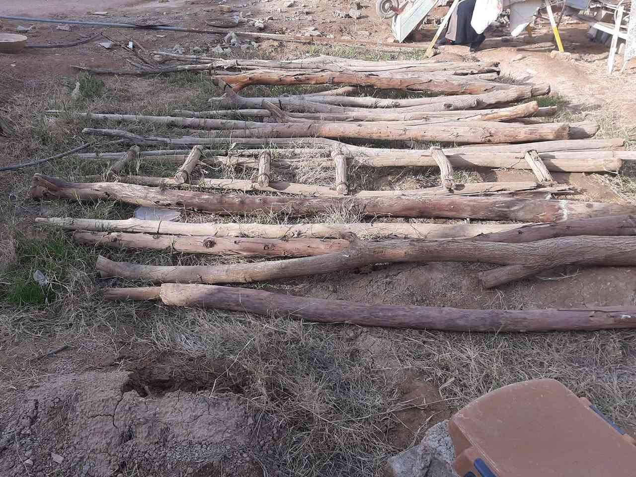 المكان ديالى بعقوبه بهرز / خشب العدد 23 وحده (( سعرهن 50 ألف))
🔷العنوان: بهرز، بداية الدواسر، قرب المختار نوري، للمعاملة والإستفسار راسلونا على هذي الصفحة على الخاص، أو الاتصال على هذا الرقم ***********
