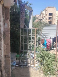 محجل • ستوته • رمادي سبعه كيلو