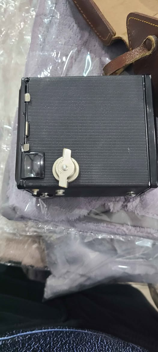 Camerayaki koni almani asl 1950 kan. السليمانية, العراق


**إذا كنت صاحب هذا الإعلان وتريد حذفه لأي سبب، رجاءا أرسل رسالة إلى الدعم الفني**