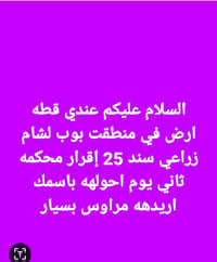 سيد 07703031595