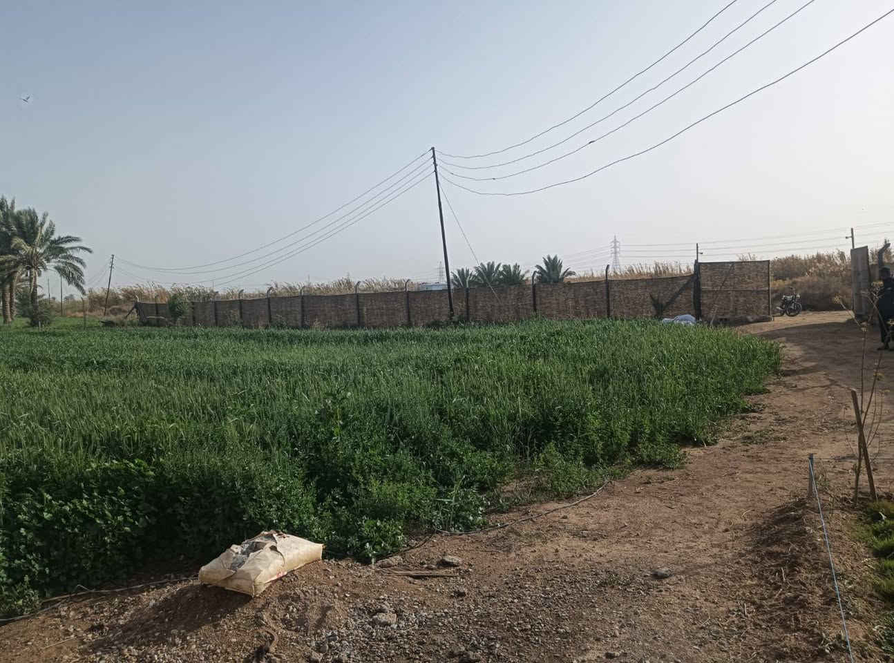 سلام عليكم يتوفر نص دونم واقع حال 2000 متر مقابل بسمايه سند 117 كافة الخدمات متوفر سعر 50 مليون قفل بدون عمله تفاصيل الاتصال وبيك خير ودلل بدارة أبو فهد العيساوي ***********
***********
