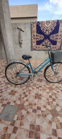 ياباني سياحي • حجم ٢٦ • بريك امامي خلفي