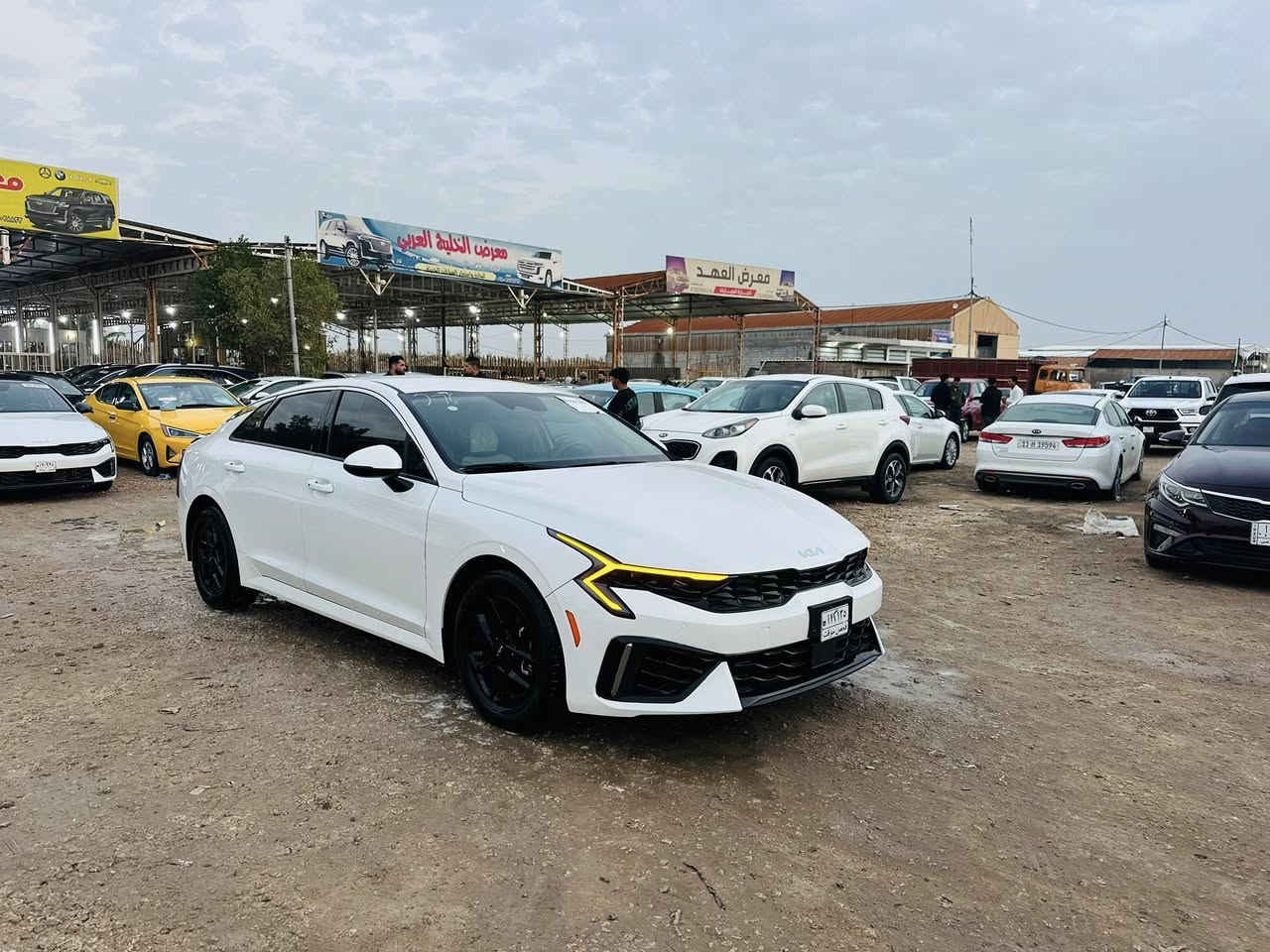 البيع او المراوس 
كي فايف 2025امريكي 
الضرر صبغ قطعتين 
مكينه 2500
السياره جاهزه 
ماشيه 9 الف 
مرقم شهداء مثنى 
السعر 190$
العنوان المثنى الرميثه معرض اثير الجياشي 
التواصل واتساب فقط 
***********
***********
