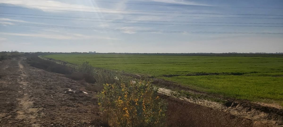 ارض زراعيه 200دونم مزروعه 130نهر عليها حرف L والباقي بزل دايرها مايها من الرحمه والبسروكيه بصدرها انبوب النفط مستقيل شارع وي  النبوب النفط عنوانه واسط كوت البسروكيه حاليا كاع صفر ماعقدين عليها قرب عطيه الحسون سعر 130وبيها مجال استفسار اكثر اتصل ع رقم
***********
***********
ارض زراعيه 200دونم مزروعه 130نهر عليها حرف L والباقي بزل دايرها مايها من الرحمه والبسروكيه بصدرها انبوب النفط مستقيل شارع وي  النبوب النفط عنوانه واسط كوت البسروكيه حاليا كاع صفر  ومشين بيها معامله عقد مكفوله من عشائر وكفلك بحضور جيران وحصه ماء بيها شتاء صيف متوفر تبعد عن شارع تبليط 6كيلو وعن سبيس 2كيلو   قرب عطيه الحسون سعر 130وبيها مجال استفسار اكثر اتصل ع رقم

