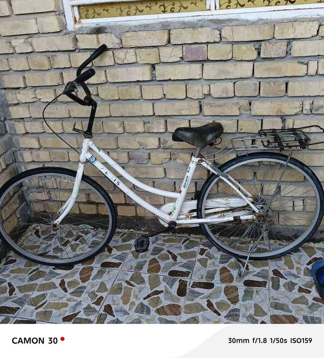 السلام عليكم باسكل حجم 26نضيف وكامل ماعوزه شي سعر 60الف وبيه مجال حك الجية مكان سوق الشيوخ حي العسكري


**إذا كنت صاحب هذا الإعلان وتريد حذفه لأي سبب، رجاءا أرسل رسالة إلى الدعم الفني**