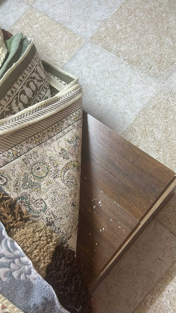 غراض بيت للبيع اربيل شارواني
طباخ ب 70
كاونتر 75
طاوله صغيره تفصيل خشب قوي 20 
مفارش عدد 2 خشب قوي الواحد على 25
تواصل ***********
