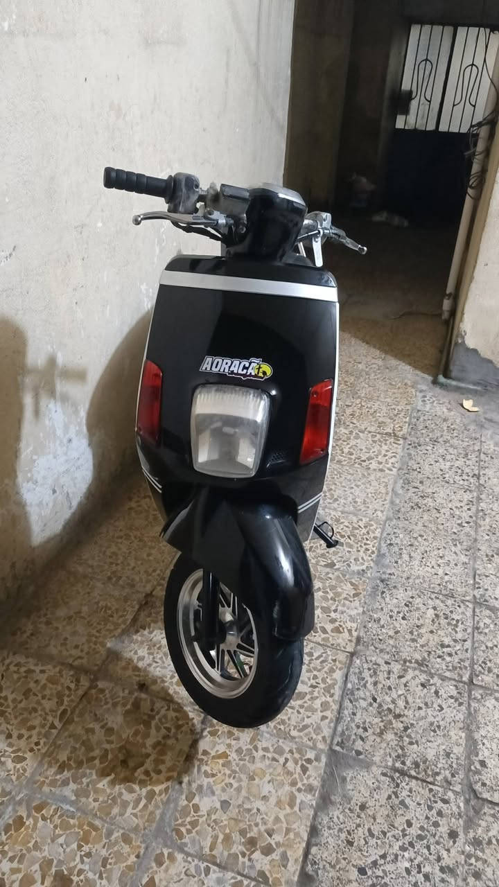 سلام عليكم إعادة النشر بسبب الوعود الكاذبه 
دراجه بوليس مسطره نوزل 2010 مكفولة كفاله عامه معظم  بس الكور مفتوح مفيلسه مامجفته مامجفته دراجه سلف هندر اشاير هون كلوبات كلهن شغالات جاهزه من كلشي بيه شلعه ومعدل ياكلن الكاع دراجه وياه كفرات بلاديات مختمات لون أبيض بوشه 49 بلاديه ب700 وبيهه مجال *********** بي واتساب....... للبيع أو للمراوس شعندك دز بل خاص
كربلاء حي الغدير
