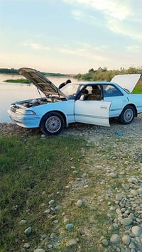 مارك مصطره رقم دولي بسمي لثلاثين كير ومكينه ونجي شرط قطره معجون مابيهه...