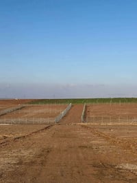 القوسيات فلفيل • ٥ دونم • سند ٢٥