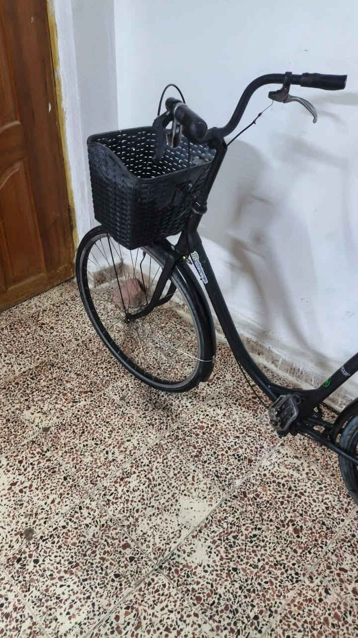سلام عليكم الموشراي يصلي ع نبي ويعبر المنشور 🌹باسكل حجم26 ياباني شرط فول نضافه زوج تايرات بريكات سله اصليه وانضف واحلى منل صور مكاني تكريت القادسيه سعر 55


**إذا كنت صاحب هذا الإعلان وتريد حذفه لأي سبب، رجاءا أرسل رسالة إلى الدعم الفني**