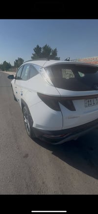 توسان ٢٠٢٤ • ٥٢ الف • بدون صبغ
