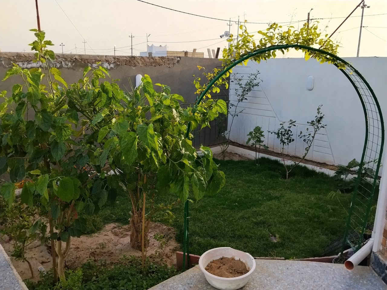 دار للبيع طابو زراعي سند 25 مجمع عزيز اشريف المياحي المساحه ٢٠٠ متر خدمات ماء كهرباء مجاري تبليط خدمات فول العنوان خلف حي الزيتون ولشراي يتصل ***********
