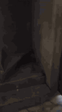 بيت للايجار • ١٠٠م • حي الجهاد