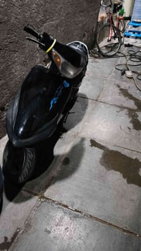 ماكس للبيع مكان بغداد المشتل السعر 400  الرقم 07770525620