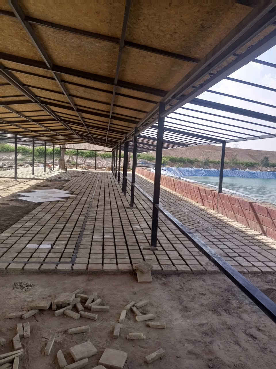 فرشي خضراوي درجه اولى شرط وحده مو زينه ما بيهن ///***********/////////***********
