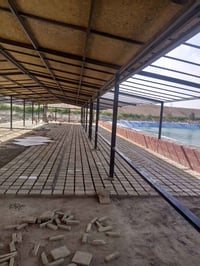 فرشي خضراوي درجه اولى شرط وحده مو زينه ما بيهن ///07801194220/////////...