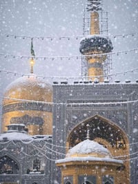 رحلات ايران • قم-مشهد • باص VIP