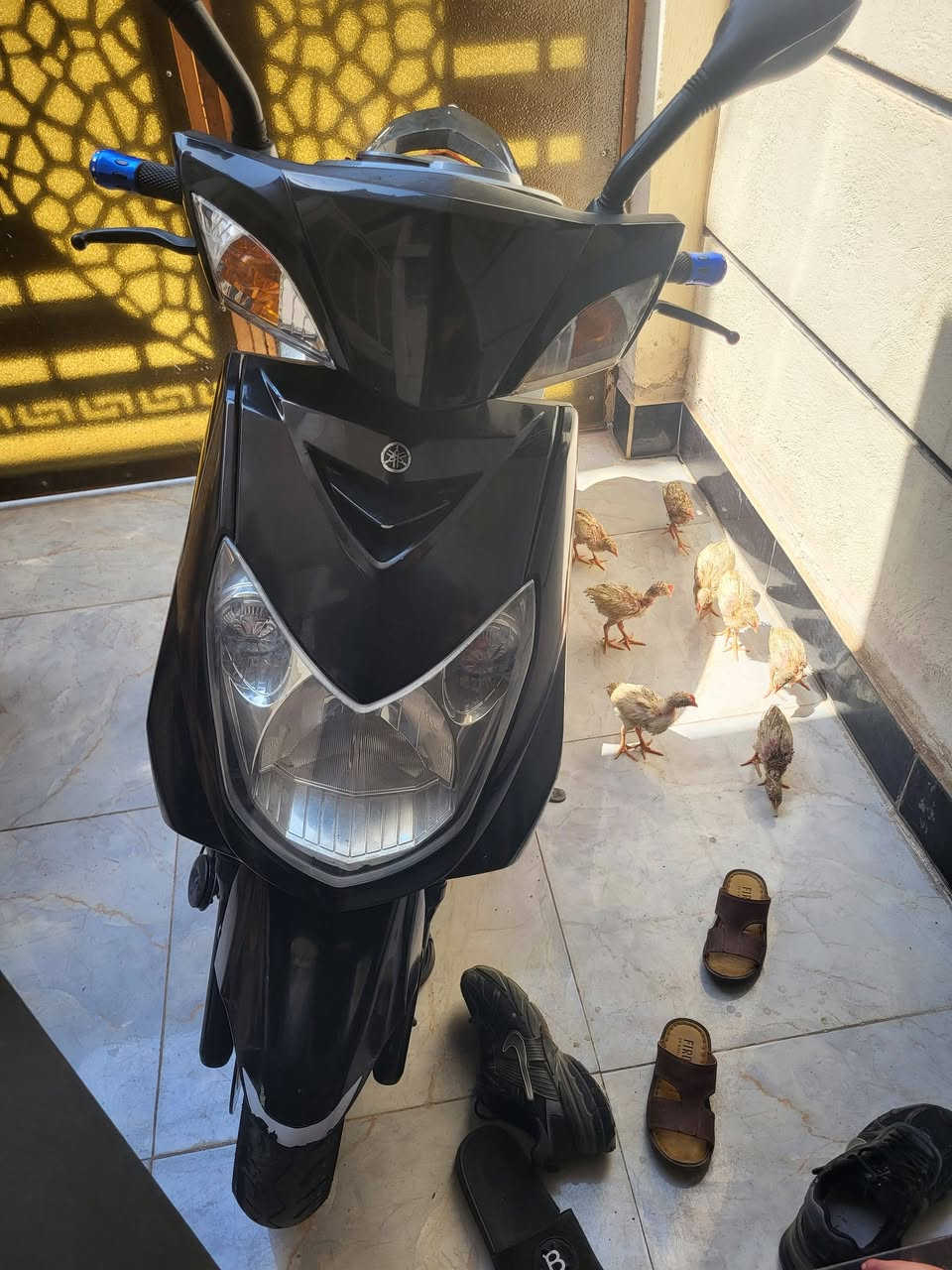 البيع ياباني نكره سلف بيه ضمان ٣ اشهر يباني مكينه ناعمه برغي مفتوح سعر مليون


**إذا كنت صاحب هذا الإعلان وتريد حذفه لأي سبب، رجاءا أرسل رسالة إلى الدعم الفني**
