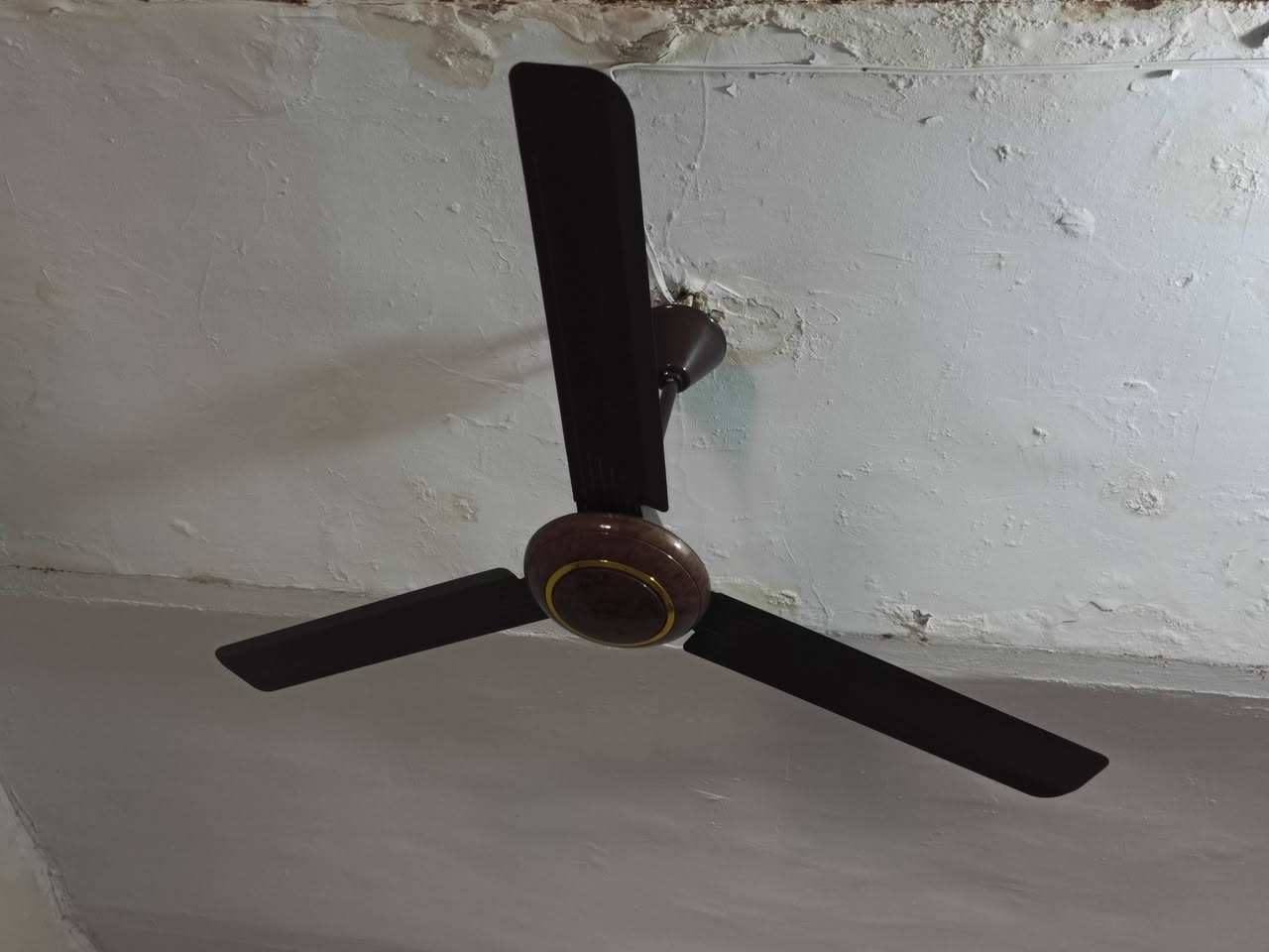 سلام عليكم 4 مرواح سقفية للبيع السعر 60


**إذا كنت صاحب هذا الإعلان وتريد حذفه لأي سبب، رجاءا أرسل رسالة إلى الدعم الفني**