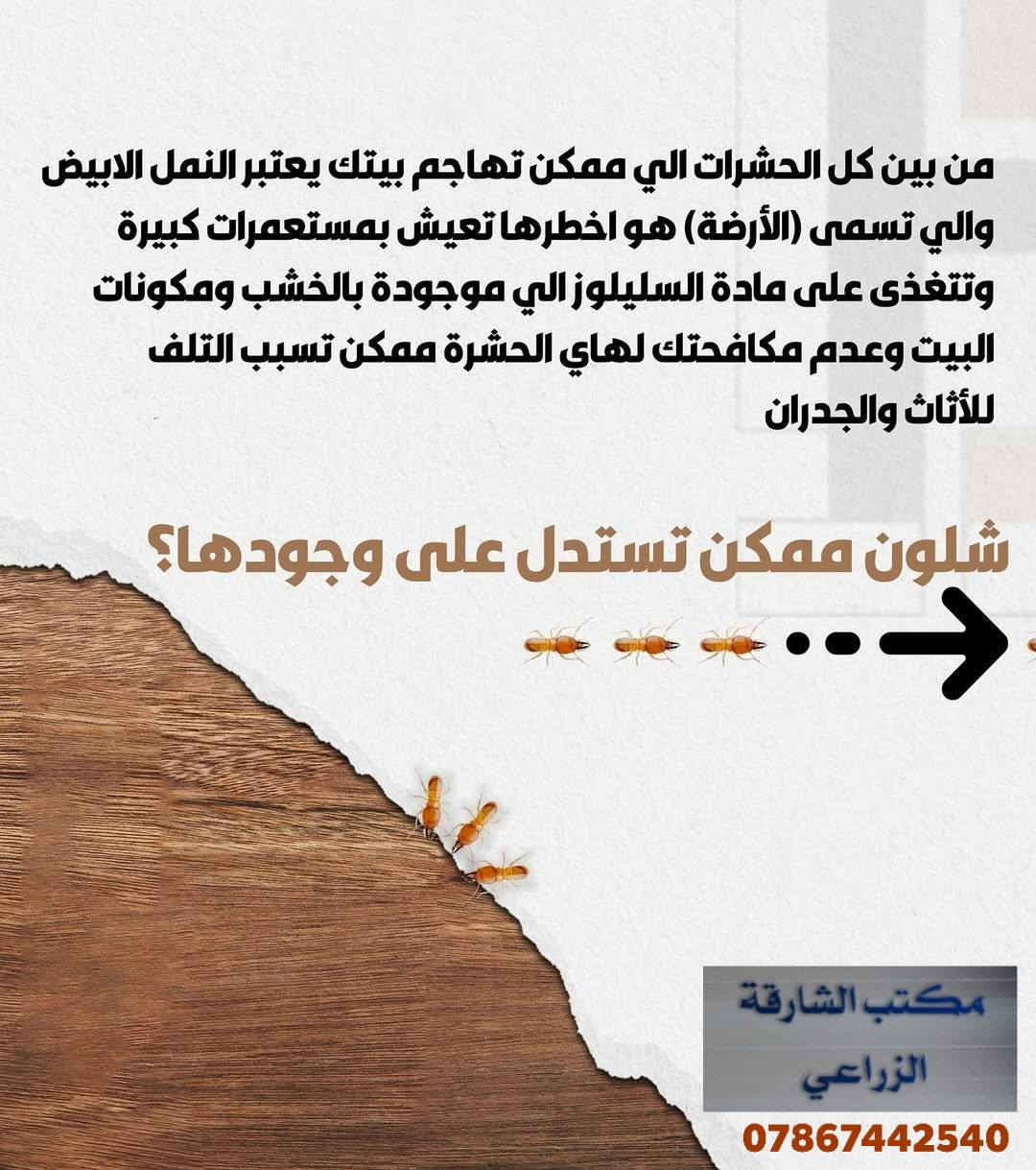 #الأرَضة تهديد صامت لكنه خطير على بيتك وعائلتك يهاجم الخشب والبنية التحتية تدريجياً بدون ما تلاحظ ومع الوقت يتسبب بأضرار كبيرة ومكلفة

لهذا السبب الفحص المبكر ضروري حتى تحمي بيتك من التلف وتضمن سلامة الجميع

مكتب الشارقة الزراعي يوفر جهاز السونار الأسترالي المتطور الي يكشف الأرَضة بدقة عالية ومن غير ما تحتاج تكسر أو تسبب أضرار إضافية

بهالفحص نقدر نحدد وجود الأرَضة بسرعة ونوفر الحلول المناسبة قبل ما تتفاقم المشكلة

لا تنتظر لحد ما تصير الأضرار واضحة احجز فحص بيتك اليوم وخلي بيتك قوي وآمن وحافظ على راحتك وراحة أهلك

مكتب الشارقة الزراعي الأول في العراق لمكافحة حشرة الأرضة وجميع أنواع الحشرات وبخبرة وكفاءة عالية في المجال

نعمل في جميع محافظات العراق 🇮🇶 

سارع الان بأتخاذ القرار الصحيح وتخلص من حشرة الارضة

♦️موقعنا : بغداد ناحية الرشيد

للاستفسار الاتصال:
***********
***********
