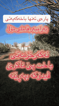 أمام فاميلي مول • ١٢٠م • حديقة ٥٠٠م