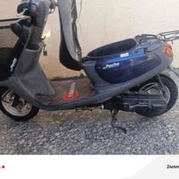 منغولي • جديده • سلف