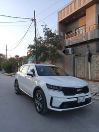 بدون صبغ • ٢٠٢٢ • ٧ راكب