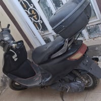 فراشة • شغالة • انفتحت