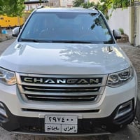 شانجان • ٢٠١٩ • بلا عيوب