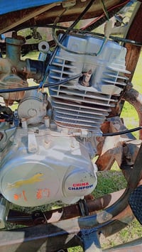 ستوته • موديل 2021 • وراق اصولي