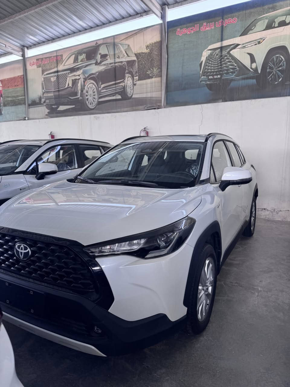 كورلا كروس 2025 زيروو
اسعار تنافسية 🔥 🔥 🔥 
فول مواصفات
زعانف بلقماره
كشاف لايت
بصمة
سلايد
تحديد مسار
كامرة
قطعتين تبريد
رادارات
علامة السودة HEV
مثبت سرعة
مكينة 2000
مرقم بابل او بغداد 
المكان بابل طريق حلة نجف ***********
