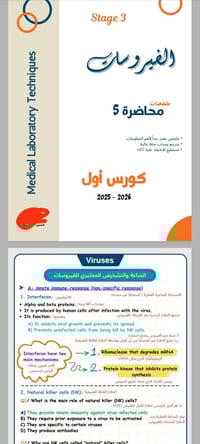 تصميم ملازم • ترجمة ملازم • تصميم لوكو