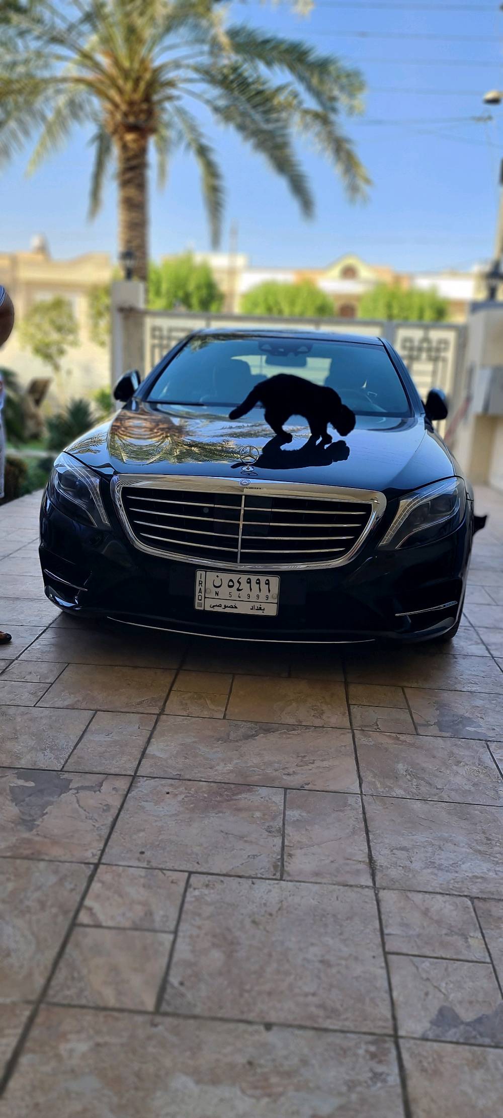 عربي/ کوردی
.
.
.
Mercedes-Benz S-Class S 500، VIP
السعر: 480,000 $
الموديل: 2014
المسافة: 112 km
اللون: أسود
الصبغ: نظيف
الموقع: العدل، بغداد
هاتف البائع: ***********
نحن على وشك الإطلاق قريباً! يمكنك الضغط على الرابط أدناه للتعرف علينا والتسجيل الآن للحصول على المزايا
www.car-zone.online/ar
---
Mercedes-Benz S-Class S 500
نرخ: 480,000 $
مۆدێل: 2014
مەودای ڕۆیشتن: 112 km
ڕەنگ: ڕەش
بۆیە: پاک
شوێن: ئەعزەمیە، بەغدا
ژمارەی فرۆشیار: ***********
ئێمە بەم نزیکانە دەست پێ دەکەین! دەتوانیت لینکەکەی خوارەوە بکەیت بۆ ئەوەی بمانناسیت و ئێستا تۆمار بکیت بۆ بەدەستهێنانی سوودەکان
www.car-zone.online/ku
#carzone #كارزون #کارزۆن #iraq #cars
#Mercedes-Benz #S-Class
