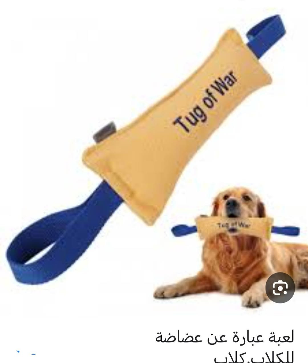 متوفر اغراض قطط وكلاب وبسعر مناسب توجد خدمة توصيل لجميع المحافظات


**إذا كنت صاحب هذا الإعلان وتريد حذفه لأي سبب، رجاءا أرسل رسالة إلى الدعم الفني**