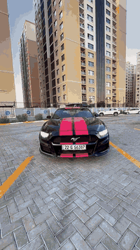 السلام عليكم 
موستنك 2016 ماشيه 120 
مواصفات 
محرك. 2300 تيربو 
حادثها جاملغ وبنيد بدون دواخل 
بصمه
تحكم ستيرن جهتين 
شفتات 
سياره جاهزه بدون اي نقص تحويل بشرط 
مكاني بغداد حي الجهاد 
السعر 120 بيها مجال 
رقمي ***********
