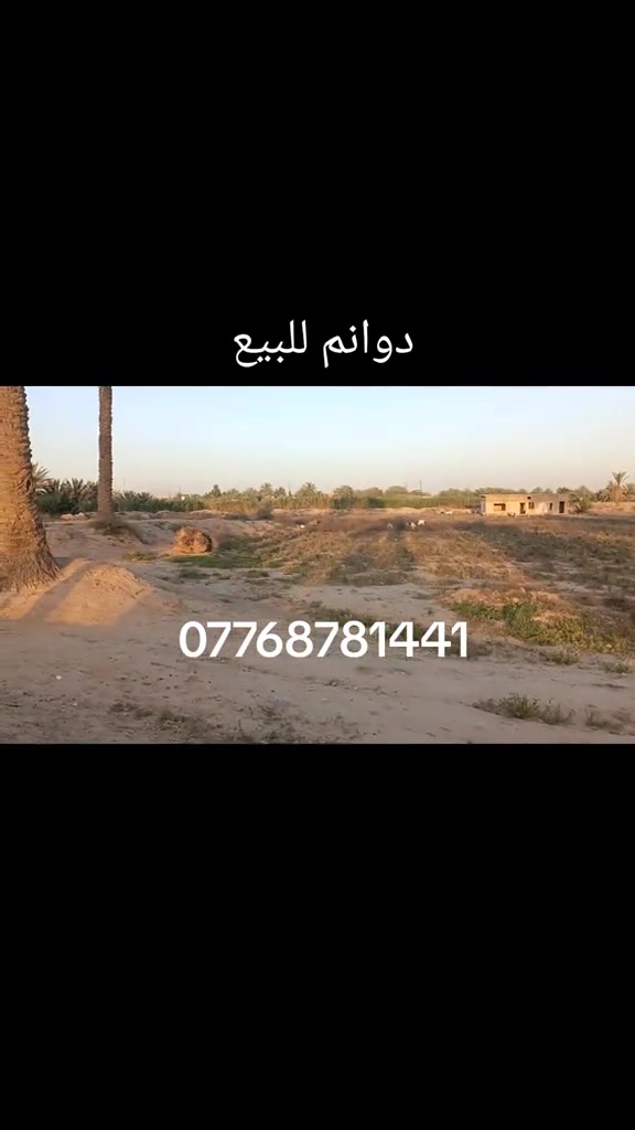 دوانم للبيع تفاصيل داخل الفيديو ***********    #دوانم_طابو_زراعي_على_طابو_بهرز_سند٢٥ #عقارت_ديالى #دوانم_للبيع #بهرز_ديالى #بهرز_باب_الخان @صالح المجمعي ابن الشيخ 
