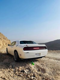 جالنجر • ٢٠١٤ • البصرة-الزبير