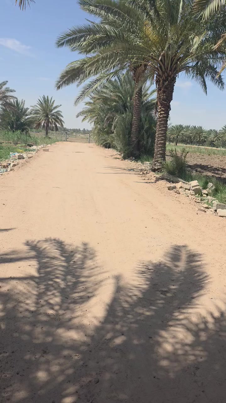 دونم على حولي كبال شارع لحمداني وشارع لباشه
تحويل كافت لسهام ثاني يوم تحويل
***********
