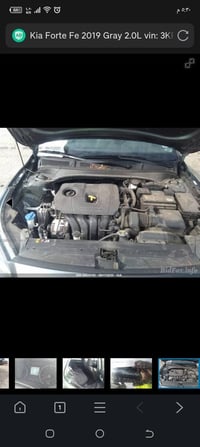 فورتي • وارد امريكي • ٢٠١٩