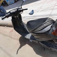 منغولي • نثيه • نضيفه
