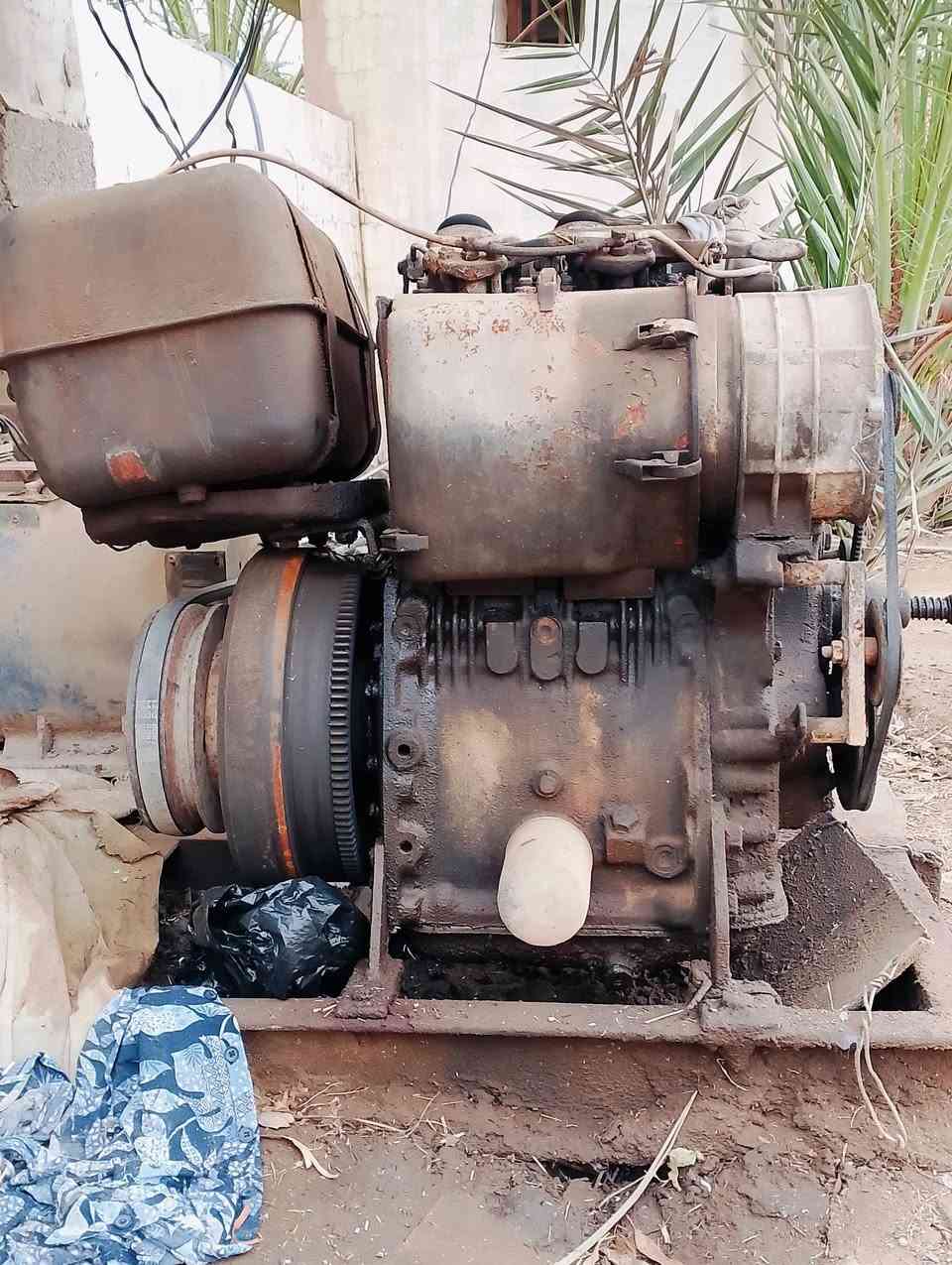 سلام عليكم مولد للبيع معالخنزيرة ***********
