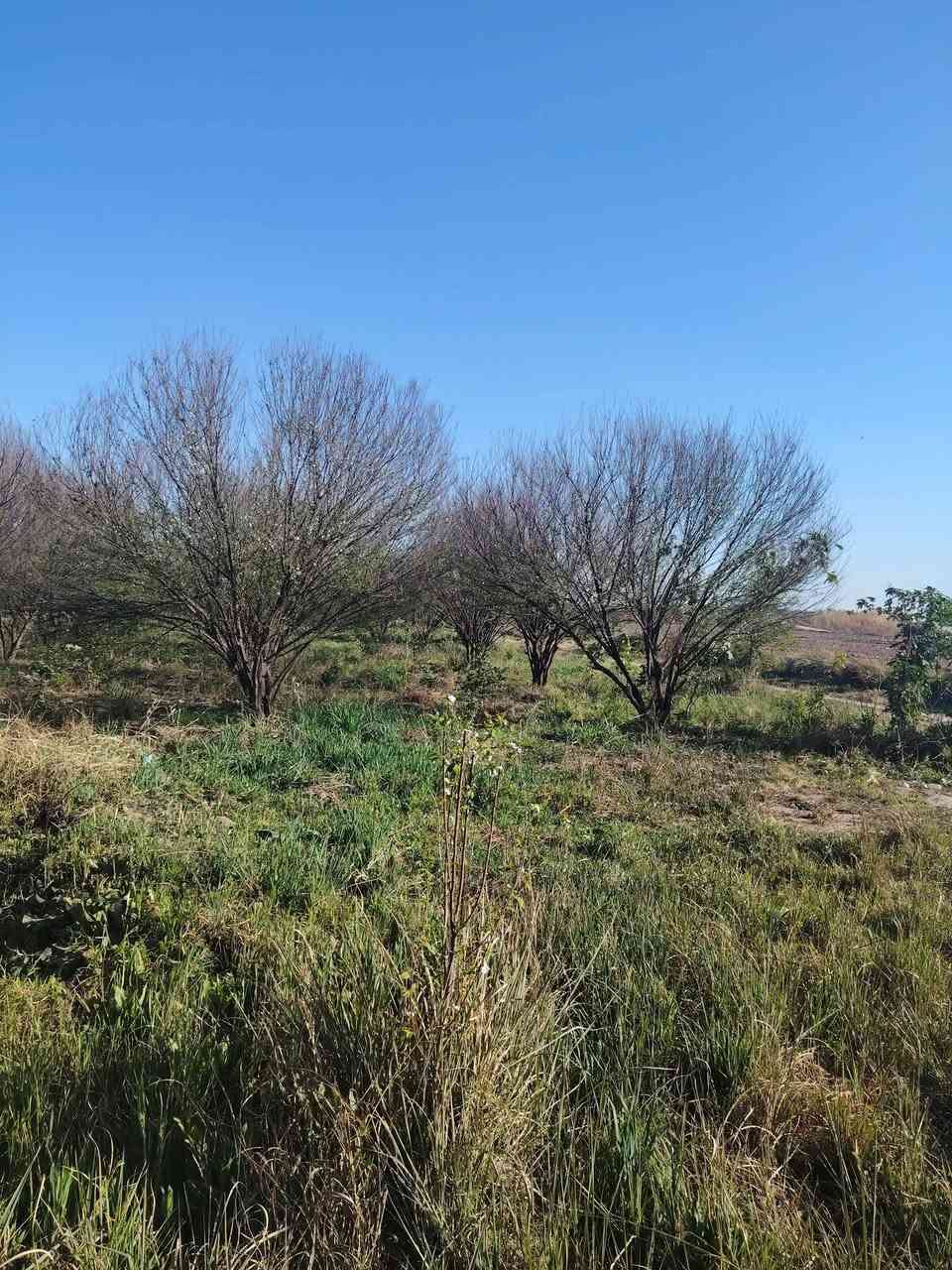 10 دونم بستان طابو زراعي سند 25 كامل الخدمات عالشارع مباشر بغداد الدورة عرب جبور سعر الدونم 160
للاستفسار الاتصال ***********
*********** #عرب_جبور #أراضي_للبيع #سكن_للعقار
